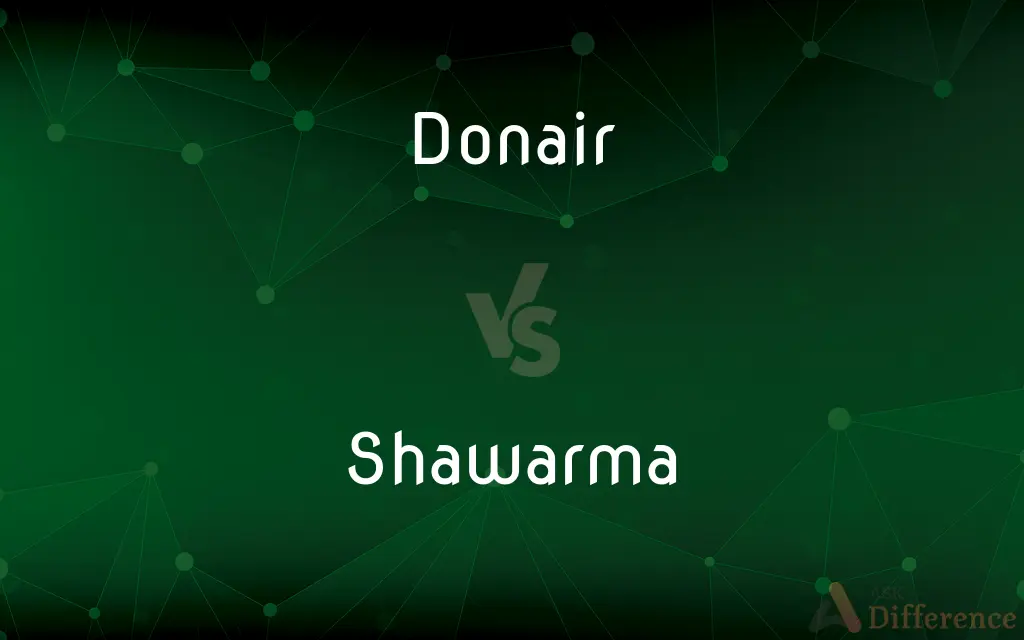 Donair vs. Shawarma — What's the Difference?