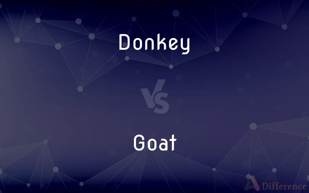 Donkey vs. Goat — What's the Difference?
