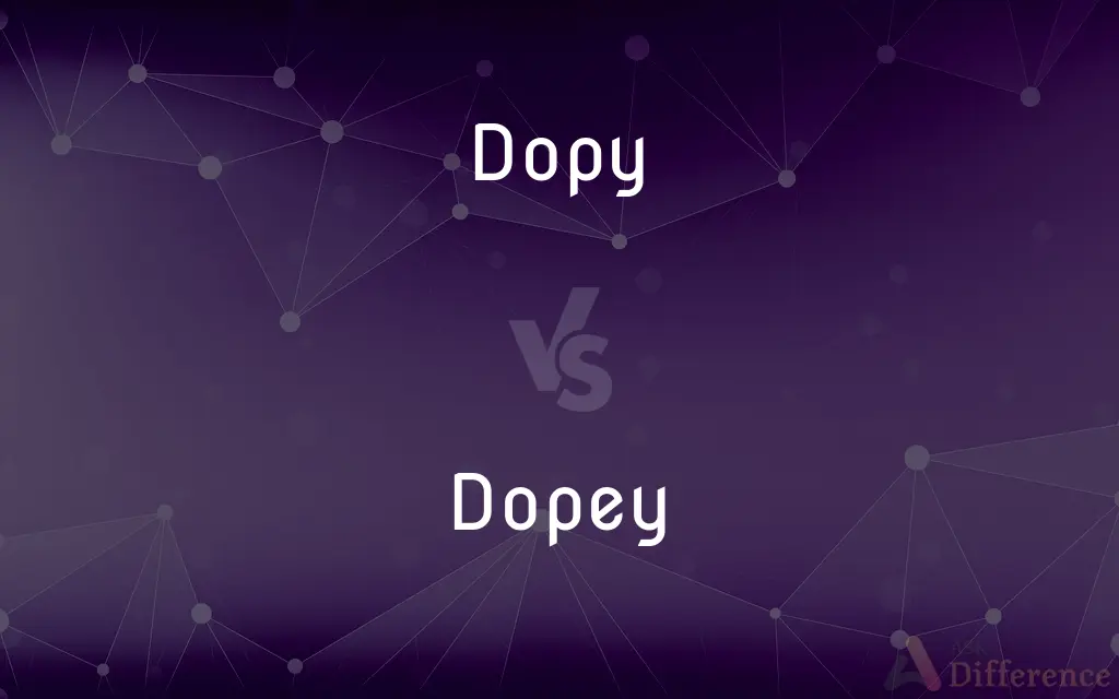 Dopy vs. Dopey — What's the Difference?