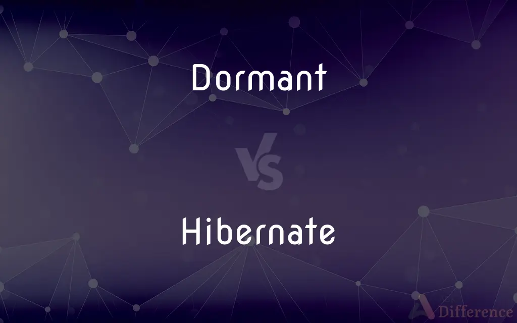 Dormant vs. Hibernate — What's the Difference?
