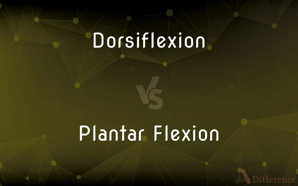 Dorsiflexion vs. Plantar Flexion — What's the Difference?