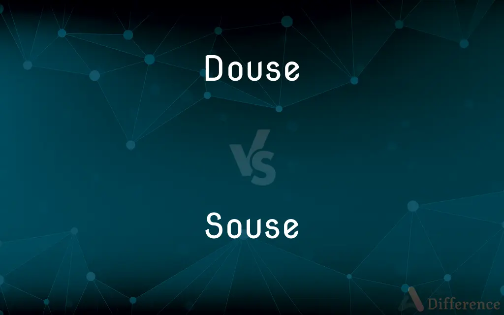 Douse vs. Souse — What's the Difference?