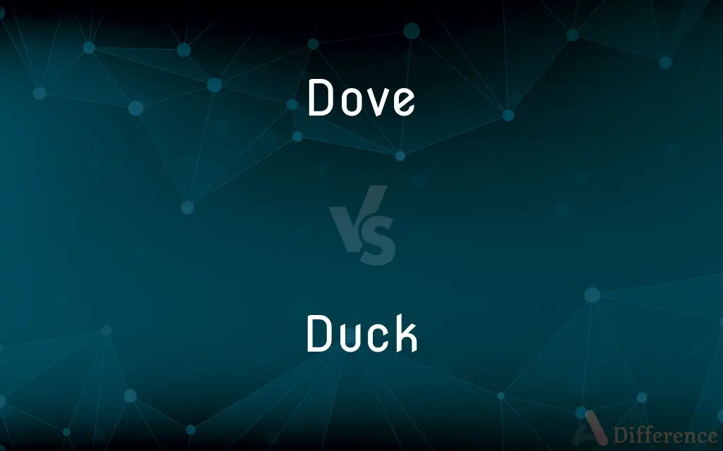 Dove vs. Duck — What's the Difference?