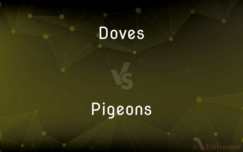 Doves vs. Pigeons — What's the Difference?