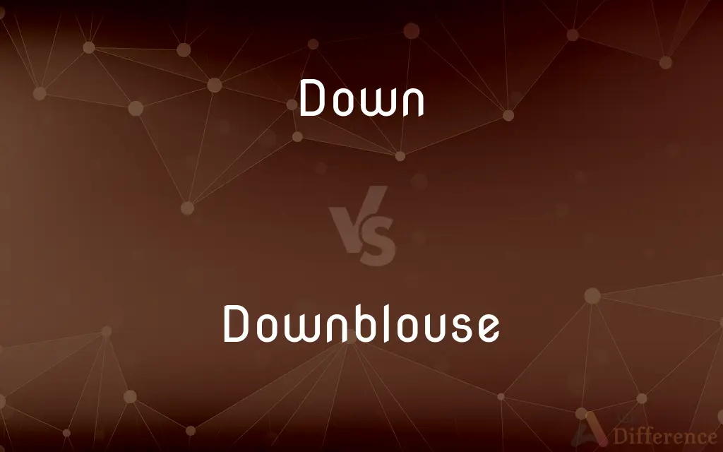 Down vs. Downblouse — What's the Difference?