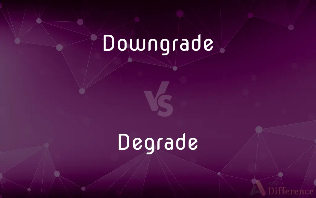 Downgrade vs. Degrade — What's the Difference?