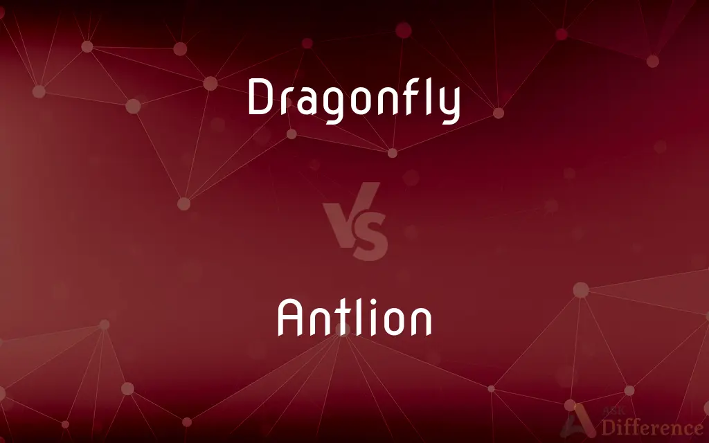 Dragonfly vs. Antlion — What's the Difference?