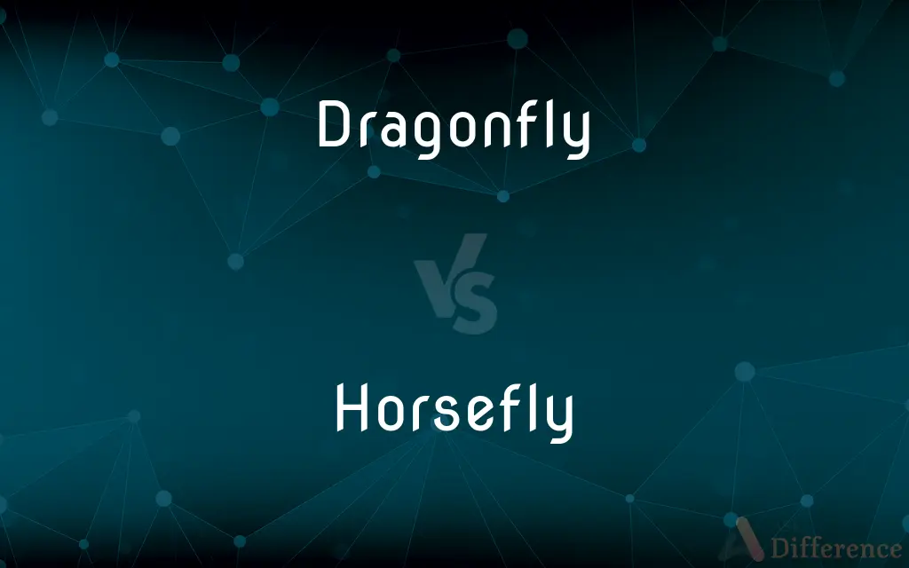 Dragonfly vs. Horsefly — What's the Difference?