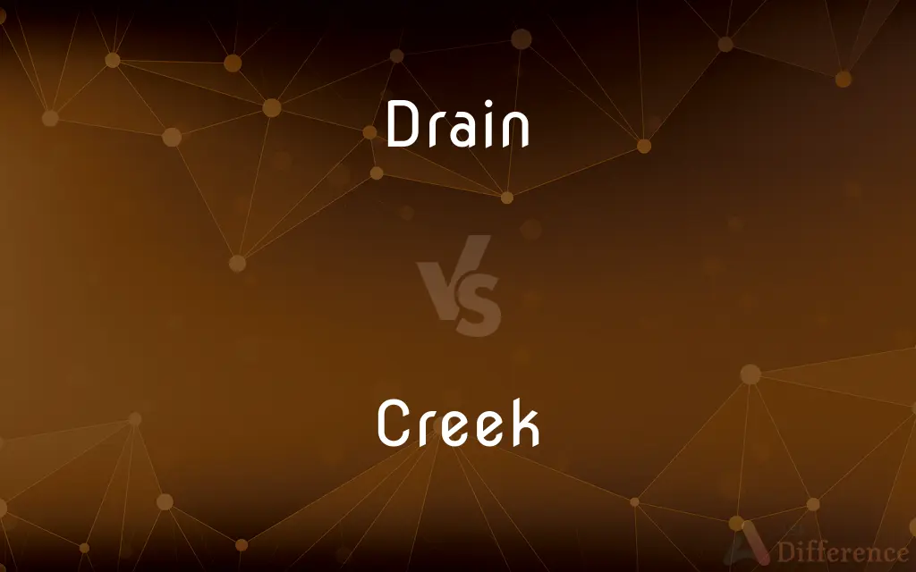 Drain vs. Creek — What's the Difference?