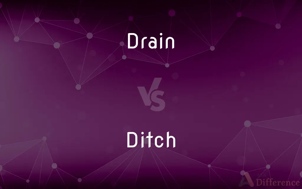 Drain vs. Ditch — What's the Difference?