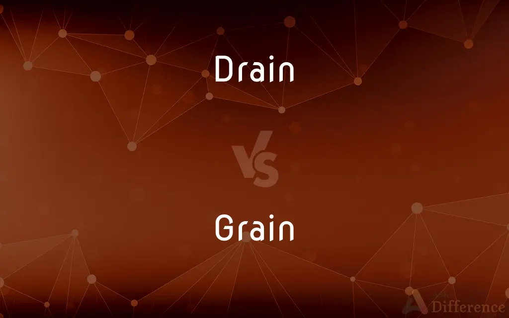 Drain vs. Grain — What's the Difference?