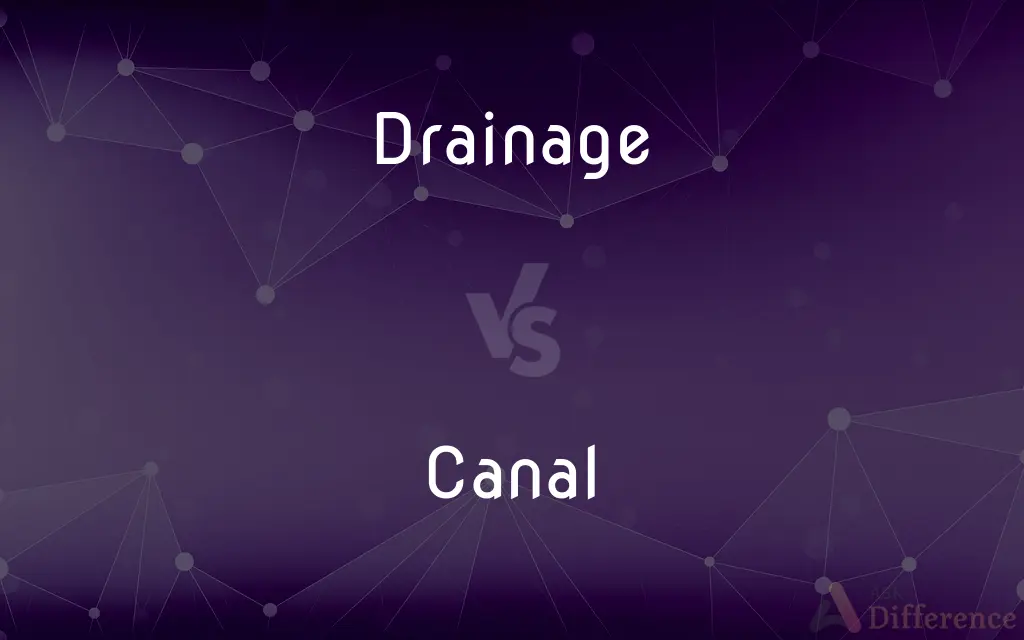 Drainage vs. Canal — What's the Difference?