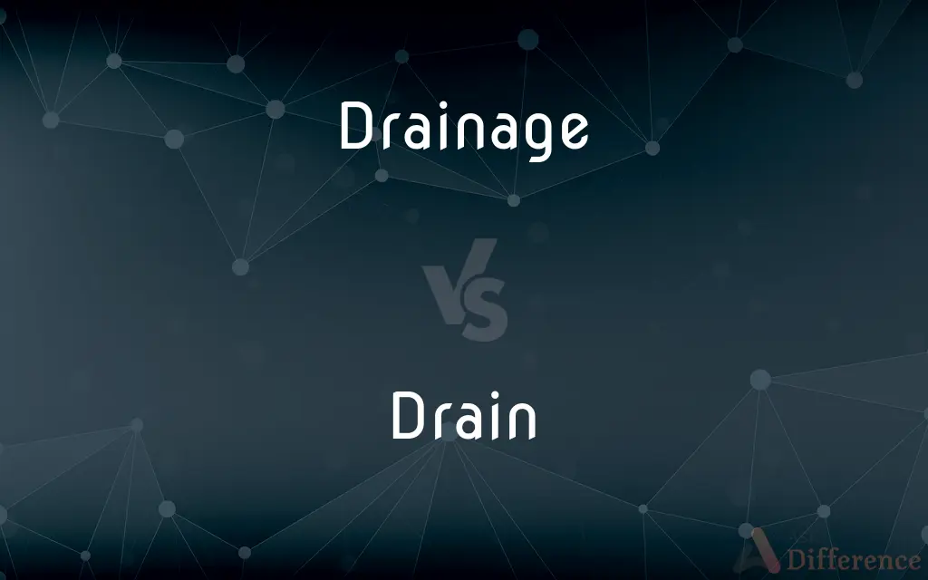 Drainage vs. Drain — What's the Difference?