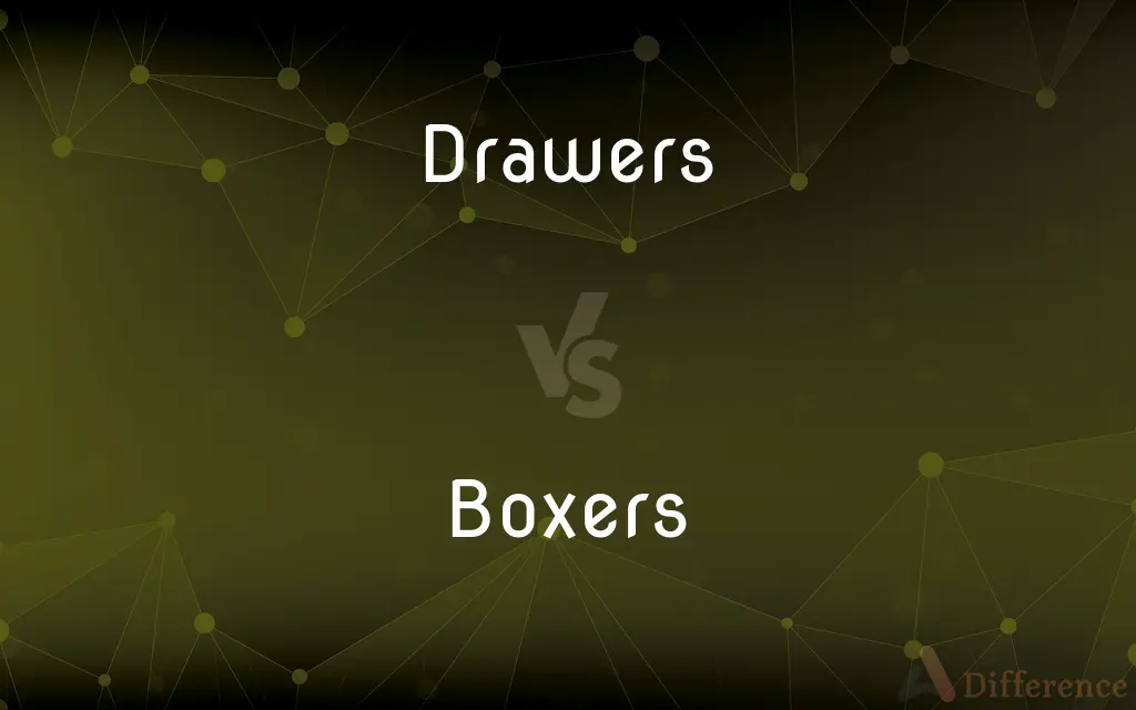 Drawers vs. Boxers — What's the Difference?