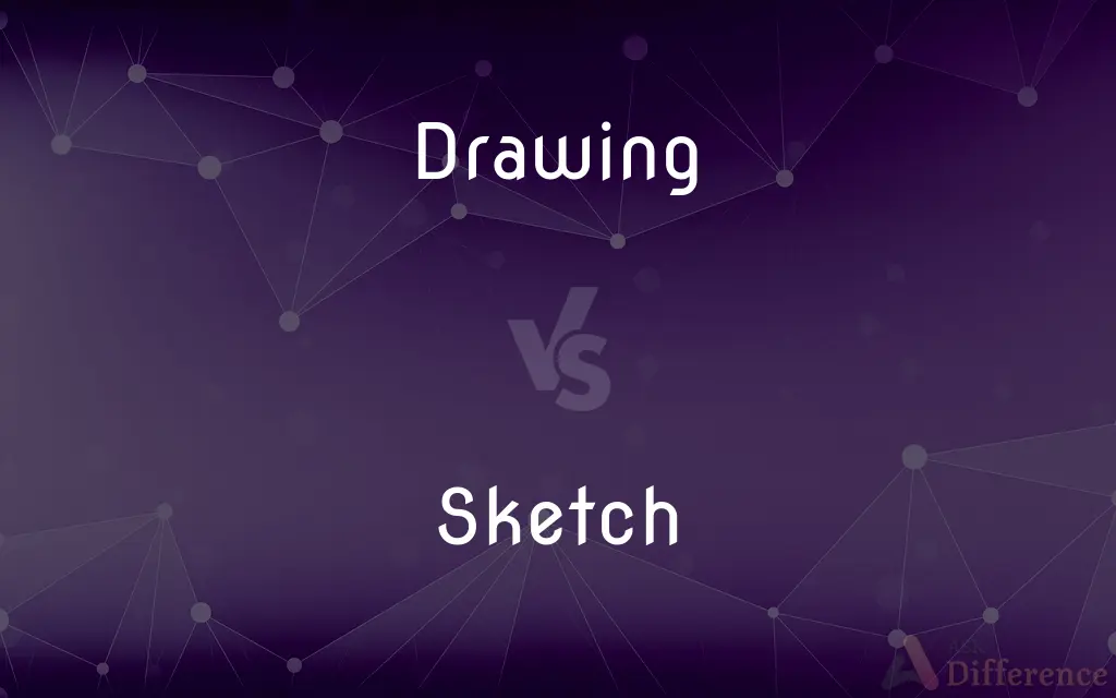 Drawing vs. Sketch — What's the Difference?