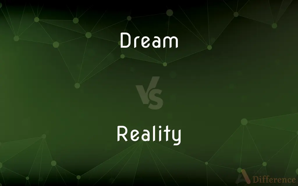 Dream vs. Reality — What's the Difference?