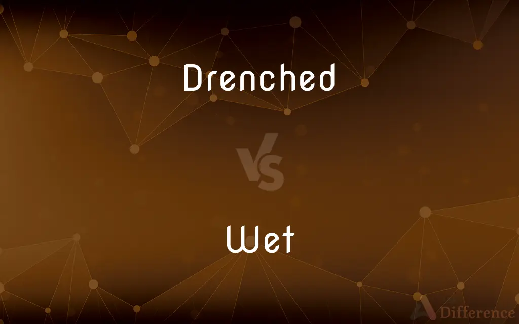 Drenched vs. Wet — What's the Difference?