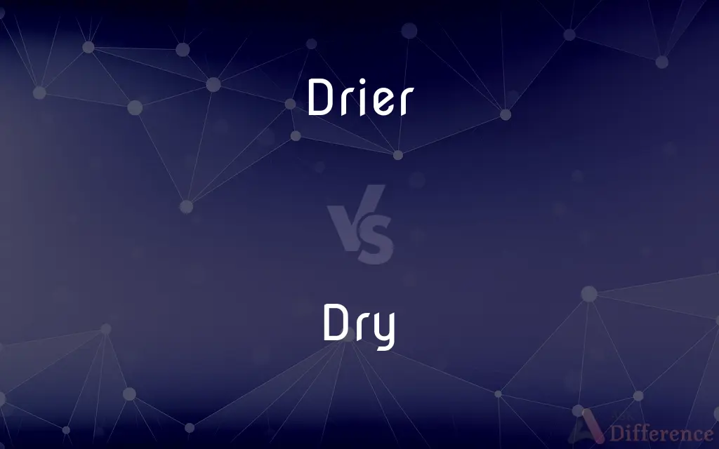 Drier vs. Dry — What's the Difference?