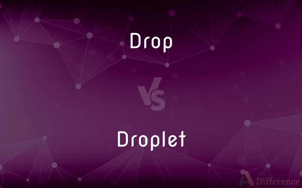 Drop vs. Droplet — What's the Difference?