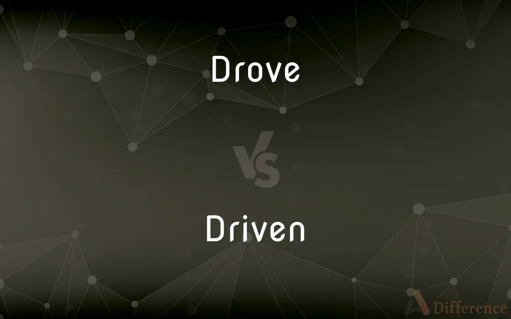 Drove vs. Driven — What's the Difference?
