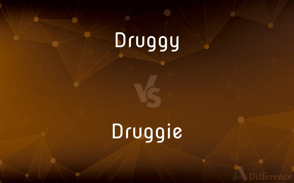 Druggy vs. Druggie — What's the Difference?