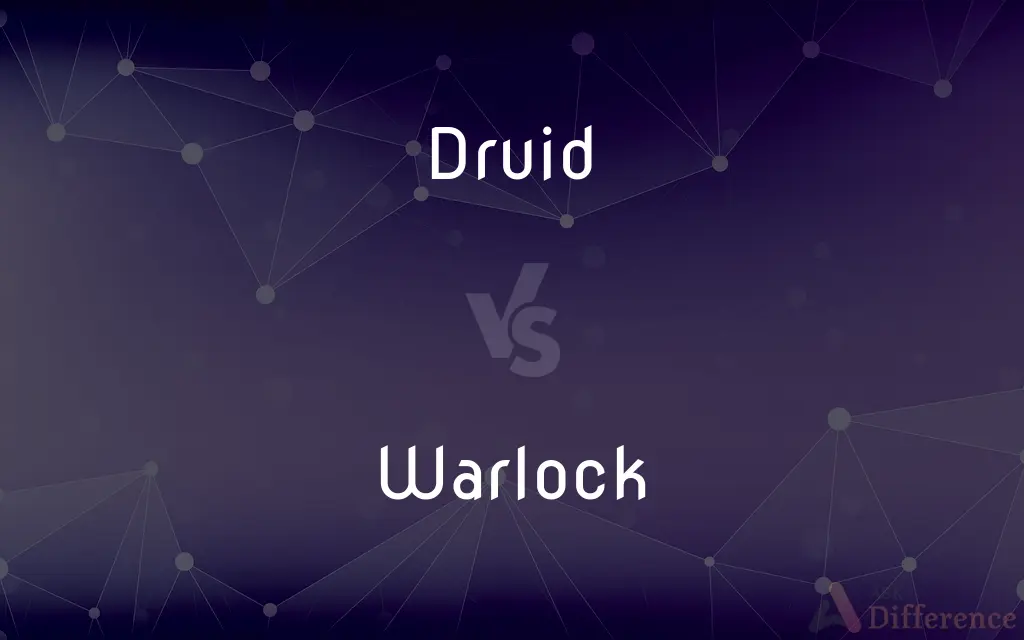 Druid vs. Warlock — What's the Difference?