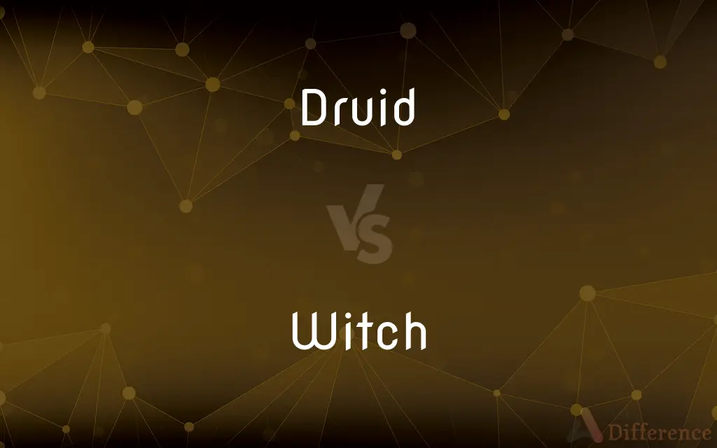 Druid vs. Witch — What's the Difference?