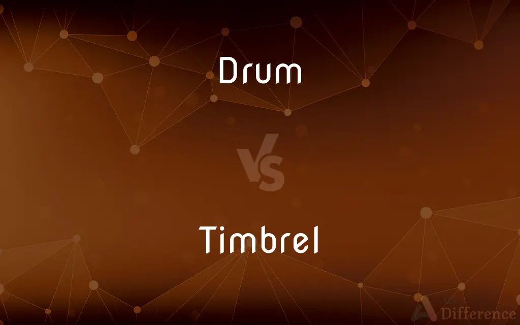 Drum vs. Timbrel — What's the Difference?