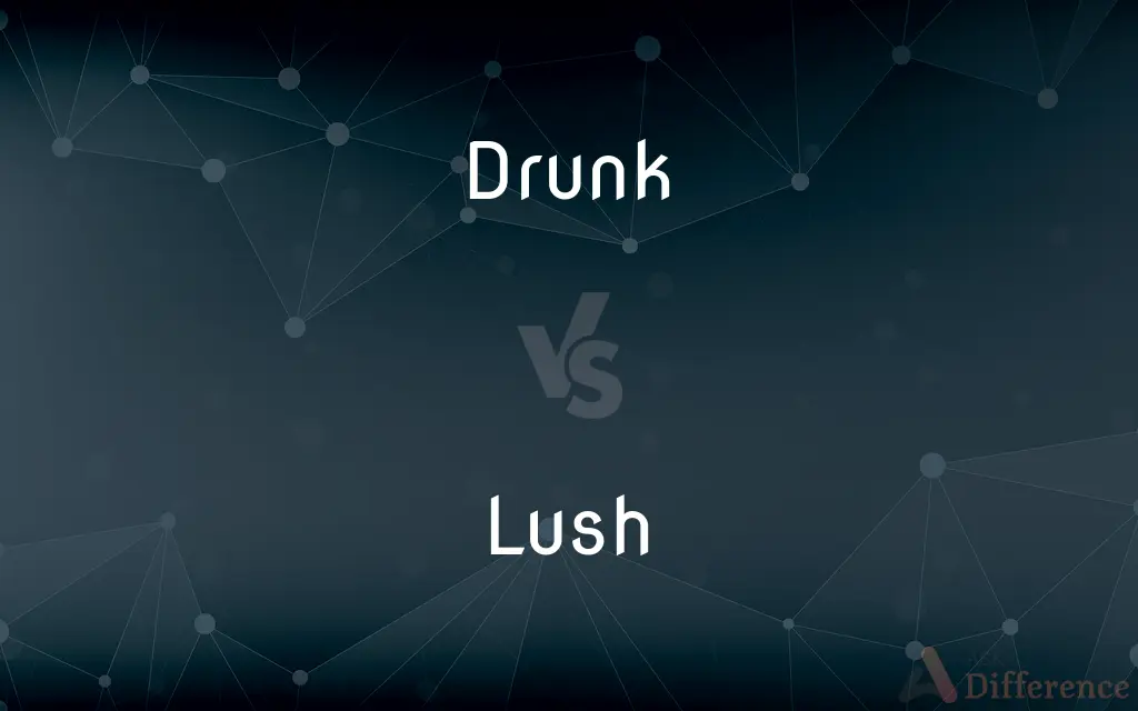 Drunk vs. Lush — What's the Difference?