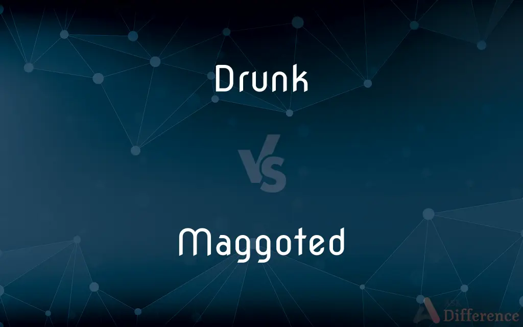 Drunk vs. Maggoted — What's the Difference?