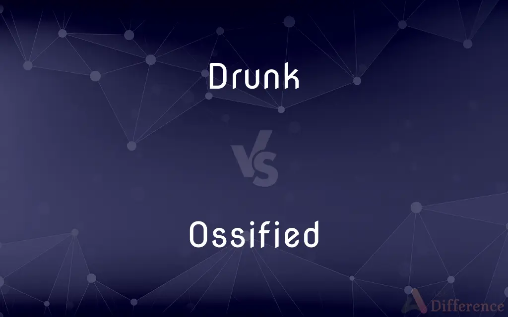 Drunk vs. Ossified — What's the Difference?