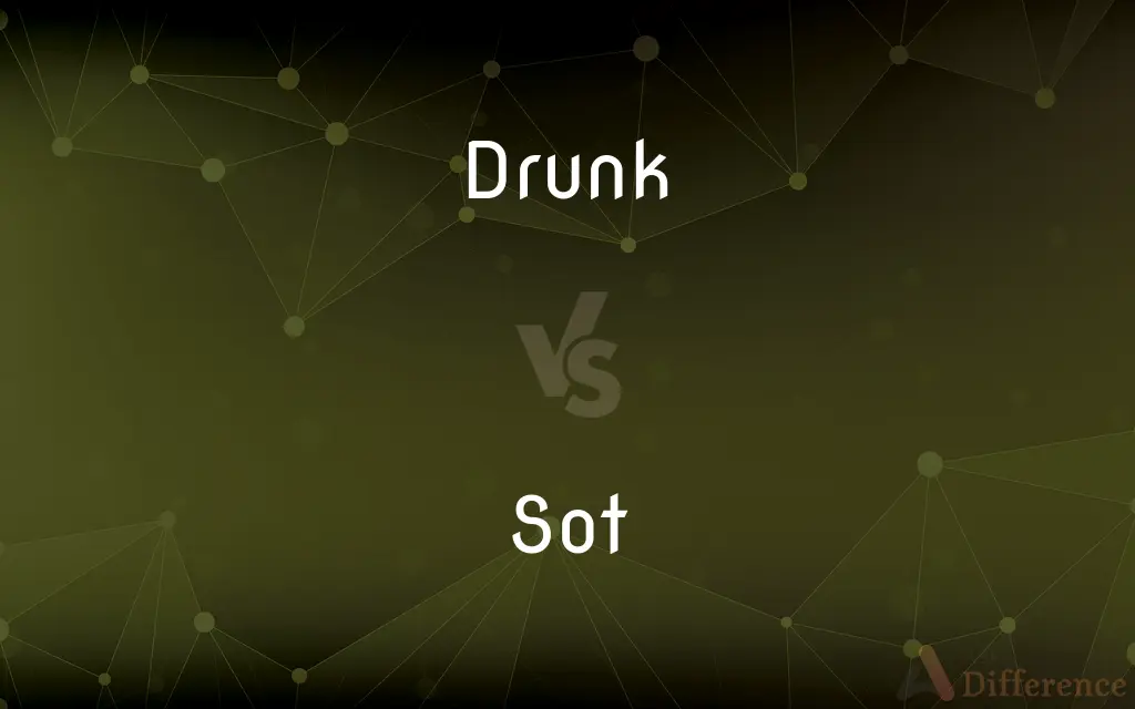 Drunk vs. Sot — What's the Difference?
