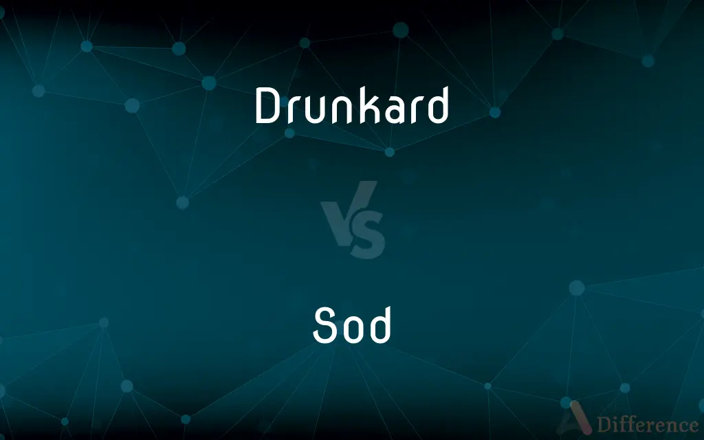 Drunkard vs. Sod — What's the Difference?