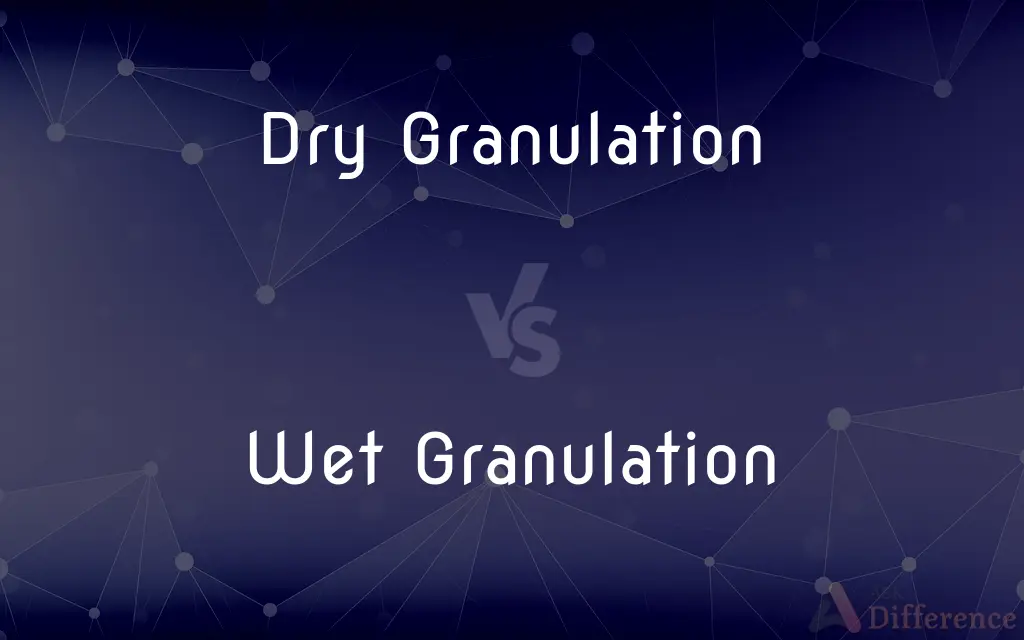 Dry Granulation vs. Wet Granulation — What's the Difference?