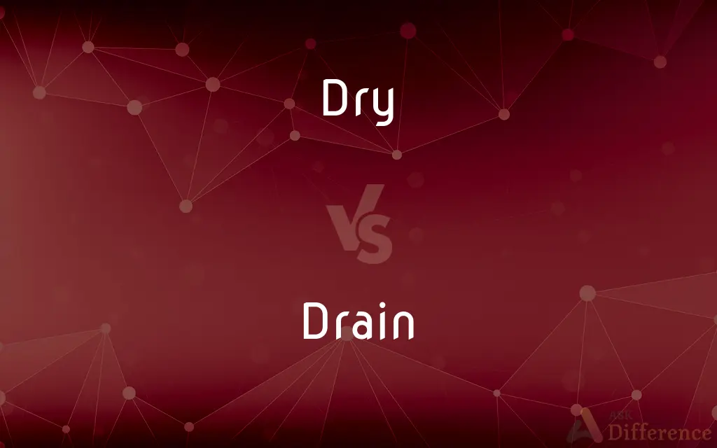 Dry vs. Drain — What's the Difference?