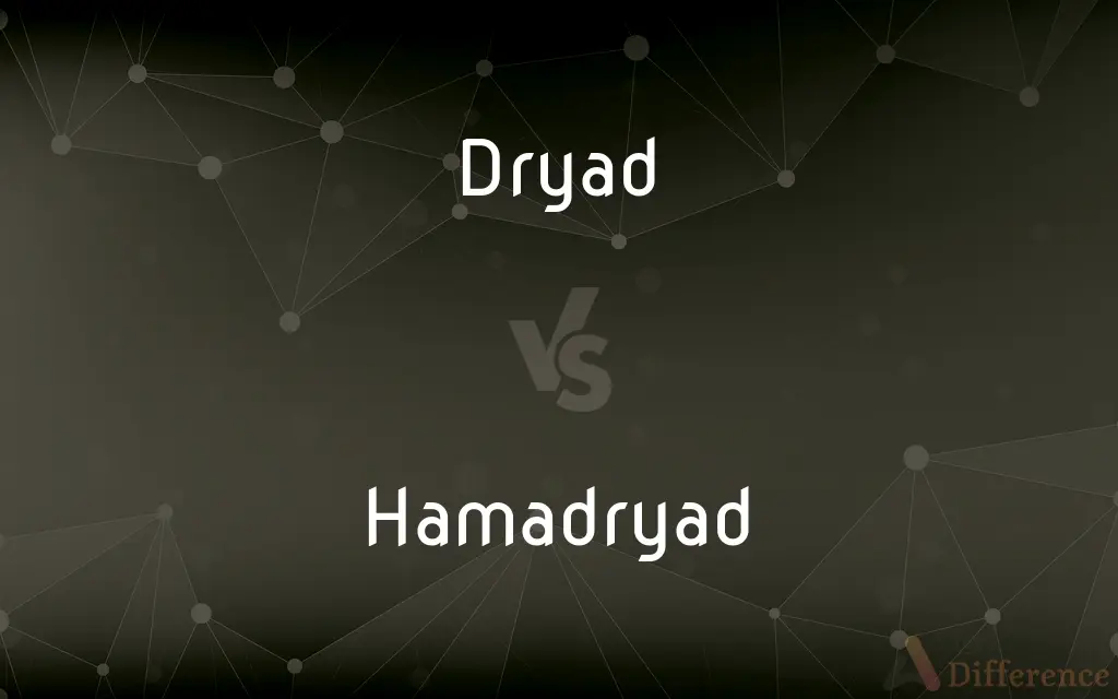 Dryad vs. Hamadryad — What's the Difference?