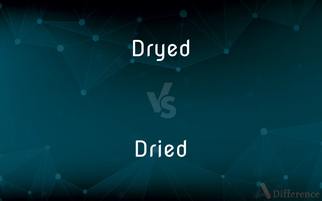 Dryed vs. Dried — Which is Correct Spelling?