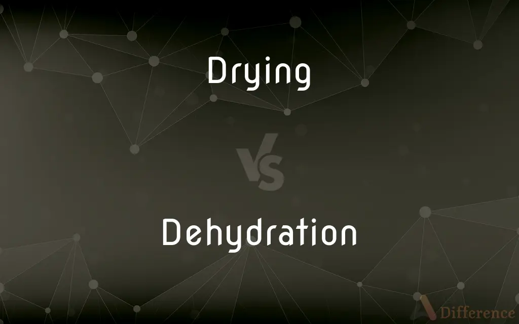 Drying vs. Dehydration — What's the Difference?