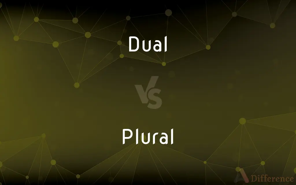 Dual vs. Plural — What's the Difference?