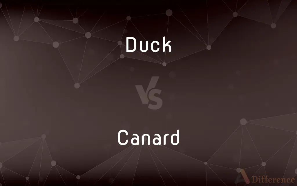 Duck vs. Canard — What's the Difference?