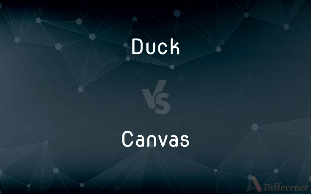 Duck vs. Canvas — What's the Difference?