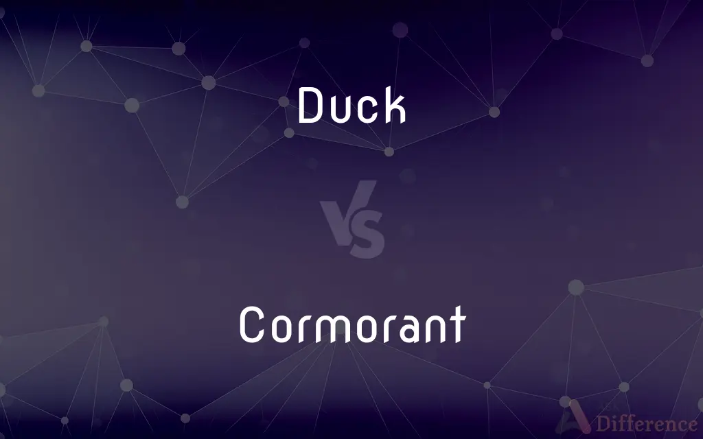 Duck vs. Cormorant — What's the Difference?