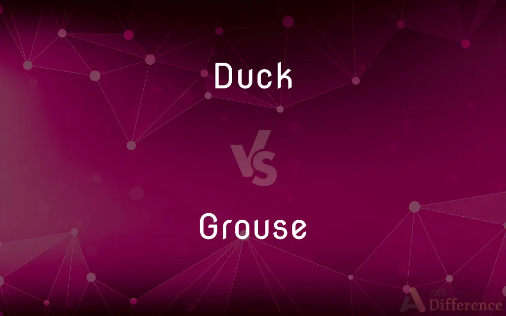 Duck vs. Grouse — What's the Difference?