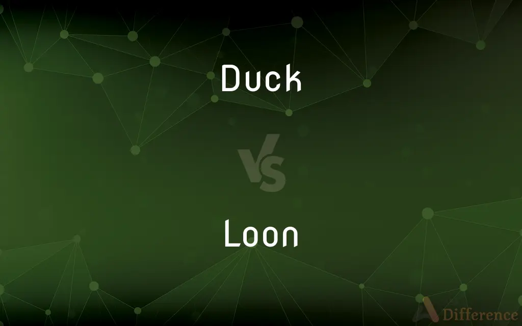 Duck vs. Loon — What's the Difference?