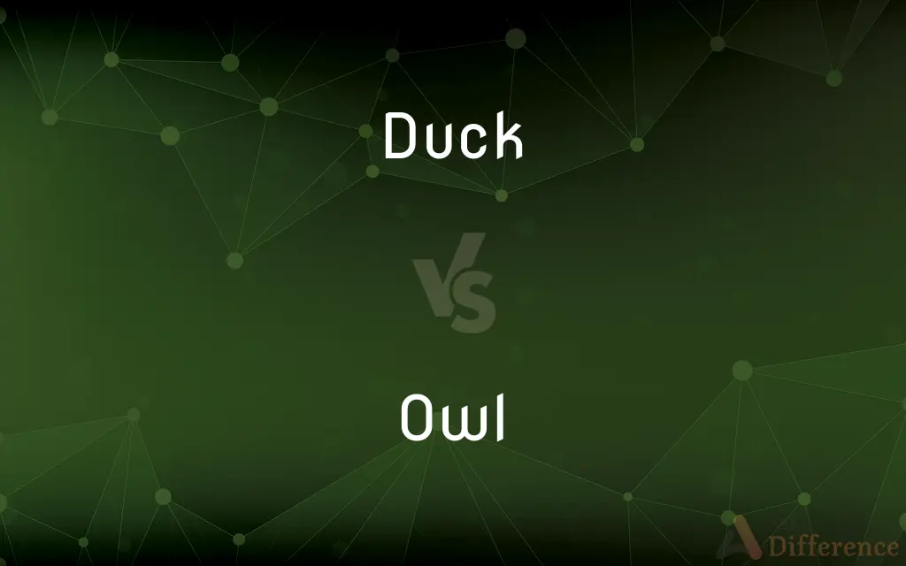 Duck vs. Owl — What's the Difference?