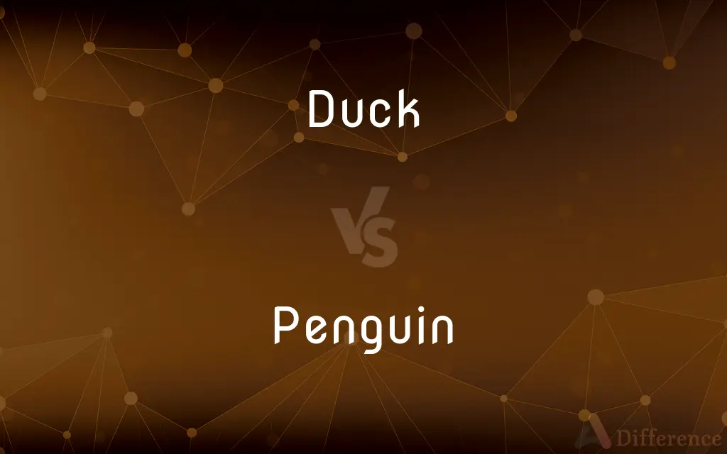 Duck vs. Penguin — What's the Difference?