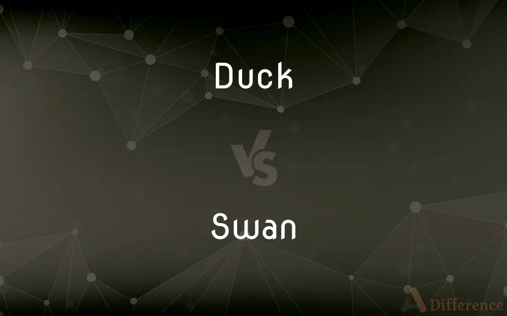 Duck vs. Swan — What's the Difference?