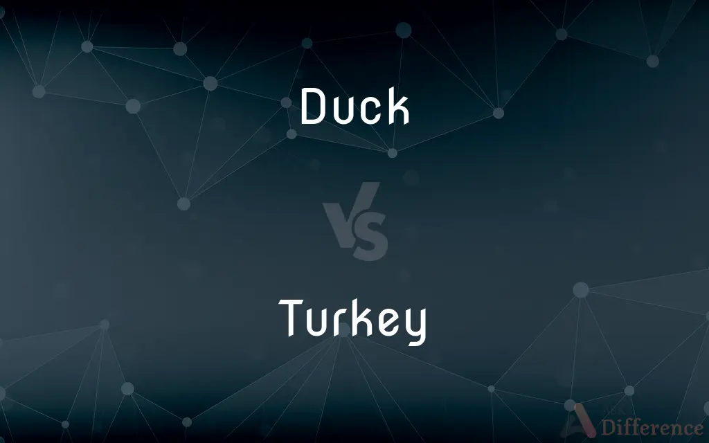 Duck vs. Turkey — What's the Difference?