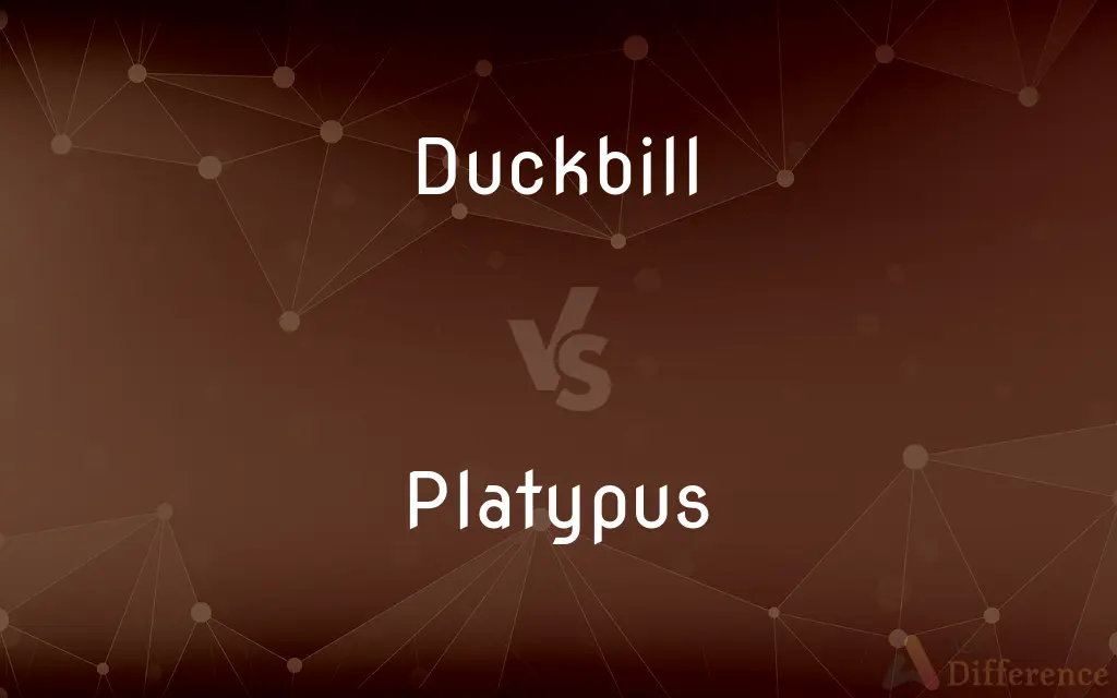 Duckbill vs. Platypus — What's the Difference?