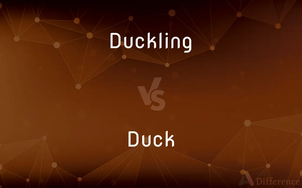 Duckling vs. Duck — What's the Difference?